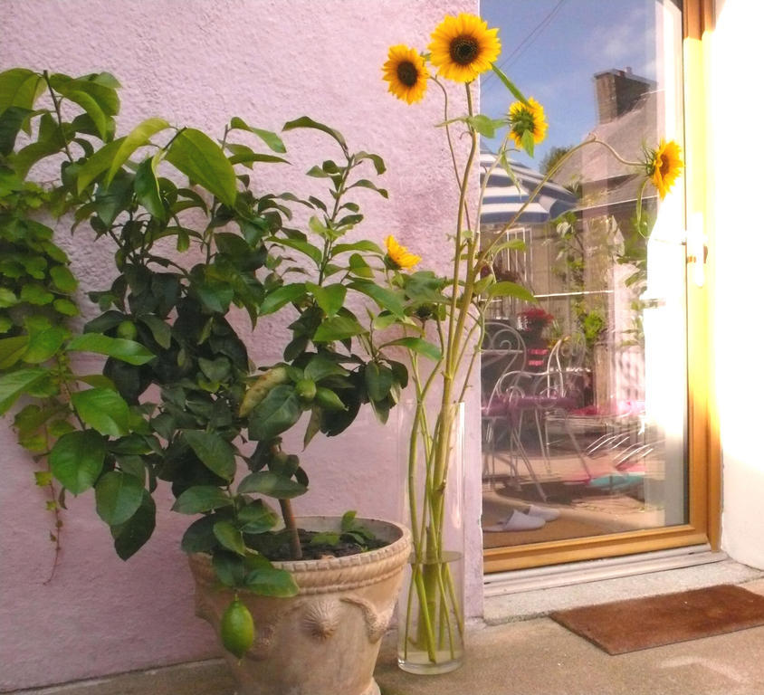 Bed & Breakfast Mons